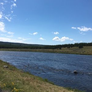 Meet your Posher, Louis